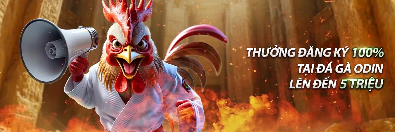 Trải nghiệm Dealer trực tiếp đỉnh cao tại kèo nhà cái 5 top